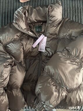 wild fable Metallic Taupe Shiny Puffer Jacket